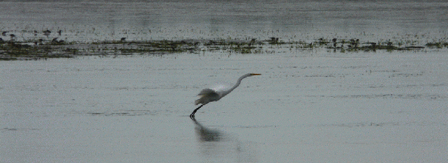 Humboldt Bay Harbor District